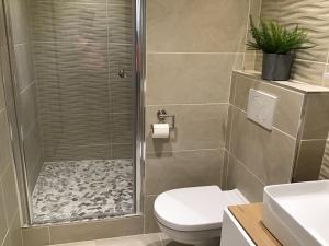 a bathroom with a shower with a toilet and a sink at Rheingau und Weltkulturerbe Mittelrheintal erleben - Ferienappartement in Winkel in Oestrich-Winkel +11 photos