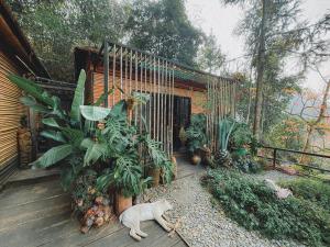 Gallery image of Nhà Không Tên in Dồng Văn +147 photos