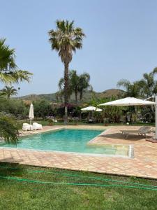 a swimming pool with a palm tree in the background at casa bv in Calatabiano
