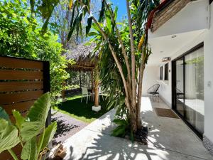 Zahrada ubytování Hotel El Manglar + 76 fotografií