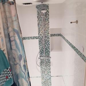 a shower in a bathroom with a mosaic shower curtain at L'ampli sur jardin in Noirmoutier-en-l'lle
