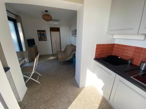 拉西约塔Studio l'Enchantement的带水槽和台面的厨房