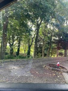 Phong cảnh thiên nhiên gần the country house