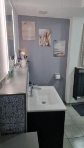 a bathroom with a white sink and a counter at Vacation home Moselsteg in Brauneberg