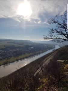 a view of a river with the sun in the sky at Vacation home Moselsteg in Brauneberg