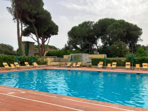 a large swimming pool with chairs and trees at Relax between the sea and the mountains in Cinquale +5 photos