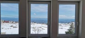 Naturlandskabet i nærheden af lejligheden