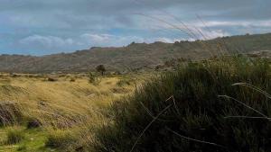 Φυσικό τοπίο κοντά σε αυτό το διαμέρισμα +23 φωτογραφίες