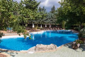 a large swimming pool with a large rock in the middle at CicloPark Morano Calabro in Morano Calabro