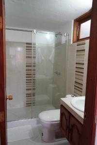 een badkamer met een douche, een toilet en een wastafel bij Hermoso Apartamento Faros de la Villa a 4 calles de la Plaza in Villa de Leyva