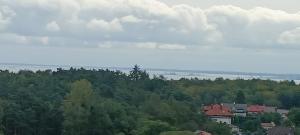 グディニャにあるNowoczesne mieszkanie z odległym widokiem na morzeの高台の一群の木々