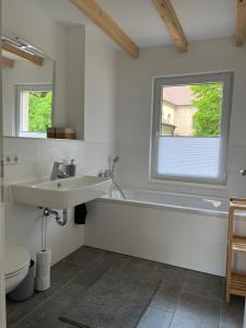 a bathroom with a sink and a tub and a window at Ferienhaus Domblick Merseburg in Merseburg