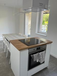 Η κουζίνα ή μικρή κουζίνα στο Ferienhaus Domblick Merseburg