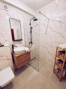 a bathroom with a sink and a shower at Apartmani Vucetic MM in Igalo