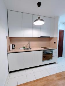 Η κουζίνα ή μικρή κουζίνα στο DoMa-Lu apartment-near airport and highway- free parking
