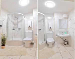 Un baño con ducha, inodoro y lavabo. en Fewo 91 WHG A 8 in Burhave, en Burhave 2 fotos más