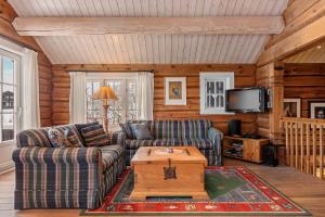a living room with a couch and a tv at Tømmerhytte i Valdres med panoramautsikt over fjellene in Aurdal