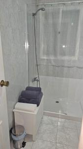 Kúpeľňa v ubytovaní Ideal Holiday Apartment City Center