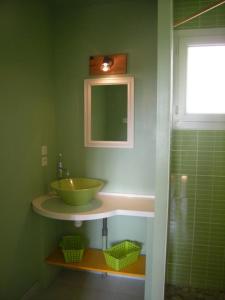 a green bathroom with a sink and a mirror at Au petit lieu-dit in Anglade