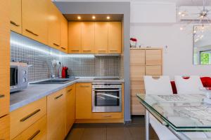 Kuchyň nebo kuchyňský kout v ubytování Deluxe Chrousso Pool Villa