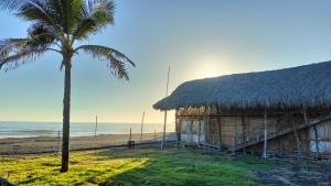 a hut on the beach with a palm tree at Las delicias del paraiso in El Palo Verde