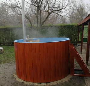 a hot tub with a fountain in a garden at Fahal Guesthouse in Vezseny