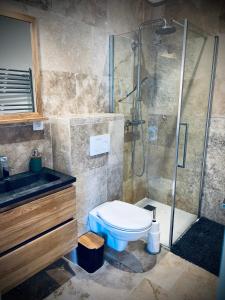 a bathroom with a shower and a toilet and a sink at L Orangerie in Maubec