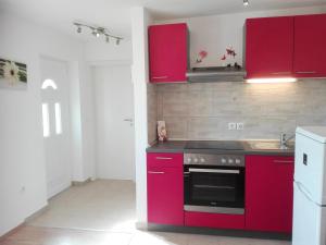 Кухня или мини-кухня в Apartment Maro
