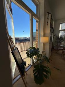 Μπαλκόνι ή βεράντα στο Bohemian luxury New York style apartment close to the beach and city