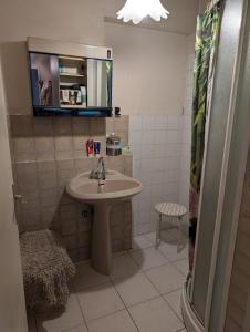 Un baño con lavabo, espejo y ducha. en 4 people, 15 minutes from Cannes, en Le Cannet