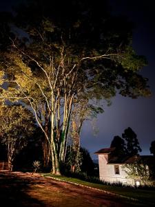 Gallery image of Chalé com linda vista para o vinhedo in São Roque