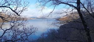 a view of a lake from between two trees at Red Deer Cottage at Fanans in Oban +81 photos