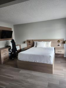 Postel nebo postele na pokoji v ubytování Paradise Motel