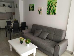 Χώρος καθιστικού στο Tenerife Sur