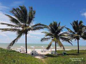 two palm trees on a beach with the ocean at Flat aconchegante à 300m do mar! in Cabedelo