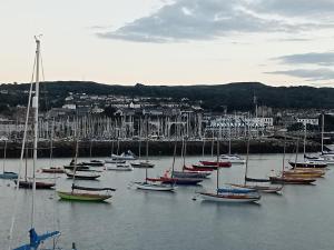 a bunch of boats sitting in the water at The Studio in Dublin
