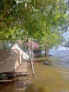 a tent sitting on a dock in the water at Meeto Camping Hồ Trị An in Ấp Vĩnh An Số