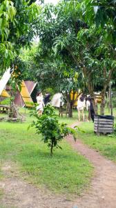 a group of people standing in a field with tents at Meeto Camping Hồ Trị An in Ấp Vĩnh An Số +8 photos
