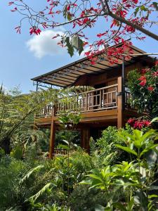 Vườn quanh Eliss Garden Coffee & Homestay