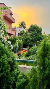 a view of a garden with trees and a building at Shobuj Kutir সবুজ কুটির in Ghātsīla +19 photos
