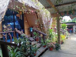Κήπος έξω από το Daisy Food House and Inn