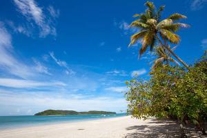 a beach with a palm tree and the ocean at Mulan Guest House with Forest Bathtub in Pantai Cenang