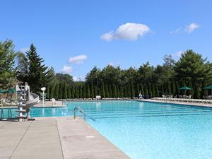 Pocono Country PlaceにあるCabin Retreat with Hot Tubの木々が茂る青い大型スイミングプール