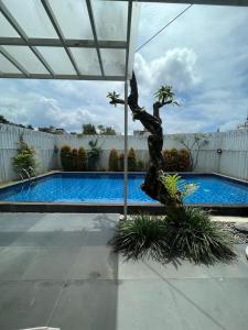 a swimming pool with a tree in front of it at Cipedes Mansion in Bandung