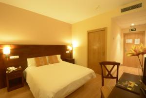 Postel nebo postele na pokoji v ubytování Hotel Campos de Castilla