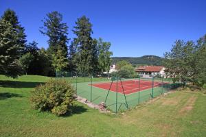 a tennis court in the middle of a field at Logis La Résidence in Le Val-dʼAjol