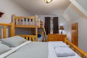 a bedroom with a bunk bed and a ladder at `Antler Ridge` Hot tub, Wifi, BBQ, River Access! in Packwood