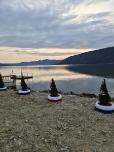 Billede fra billedgalleriet på Casa La Francezu i Eşelniţa + 21 billeder