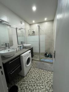 a bathroom with a sink and a washing machine at Lovely Emile Zola apartment in Laxou