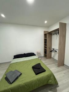 a bedroom with a bed with a green blanket at Lovely Emile Zola apartment in Laxou